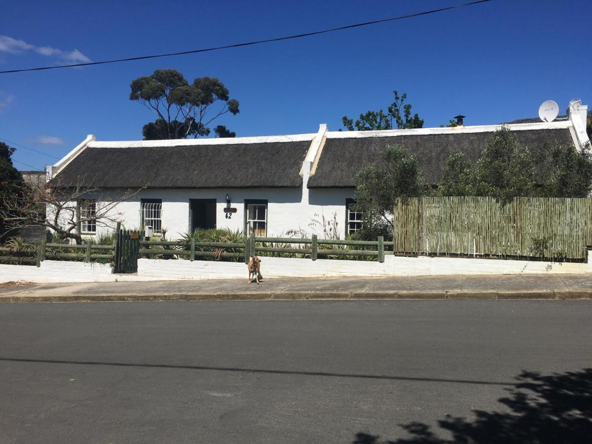 Carneddie Cottage - Main Bredasdorp Dış mekan fotoğraf