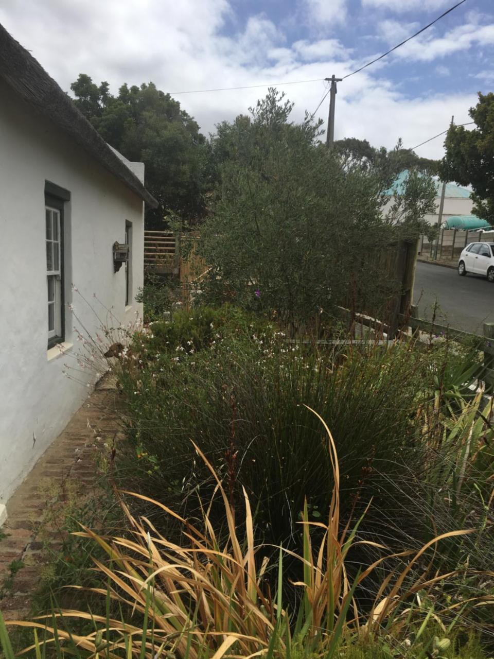 Carneddie Cottage - Main Bredasdorp Dış mekan fotoğraf
